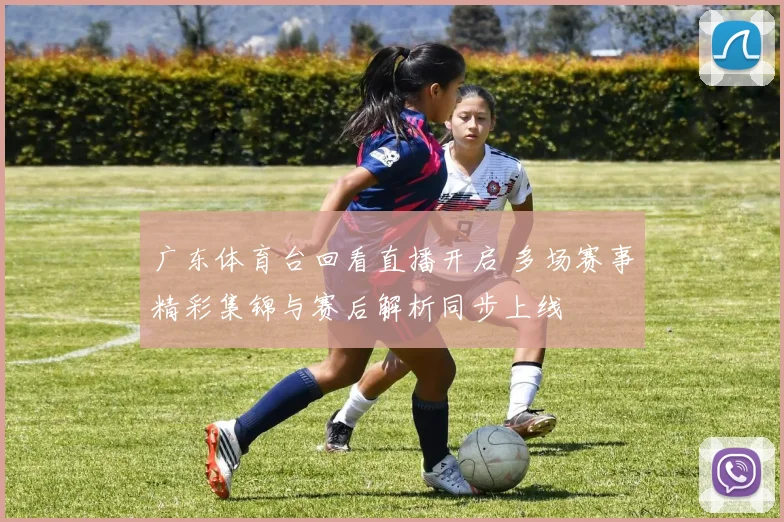 广东体育台回看直播开启 多场赛事精彩集锦与赛后解析同步上线