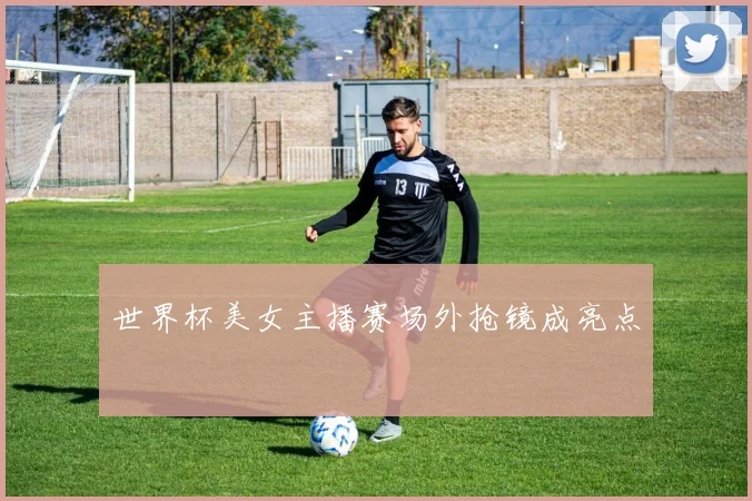 世界杯美女主播赛场外抢镜成亮点