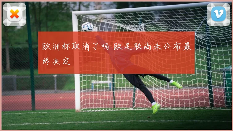 欧洲杯取消了吗 欧足联尚未公布最终决定