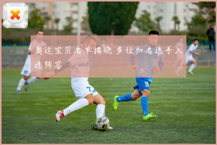 奥运宝贝名单揭晓 多位知名选手入选阵容
