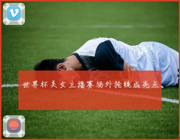 世界杯美女主播赛场外抢镜成亮点
