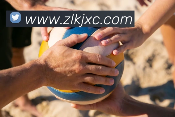 App Interface Preview