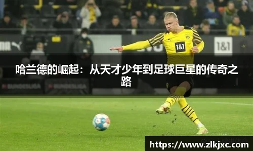 bsports官网入口